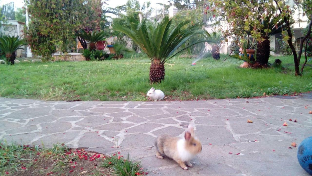 Villa Ida In Bari Buitenkant foto